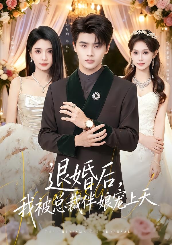 退婚后，我被总裁伴娘宠上天